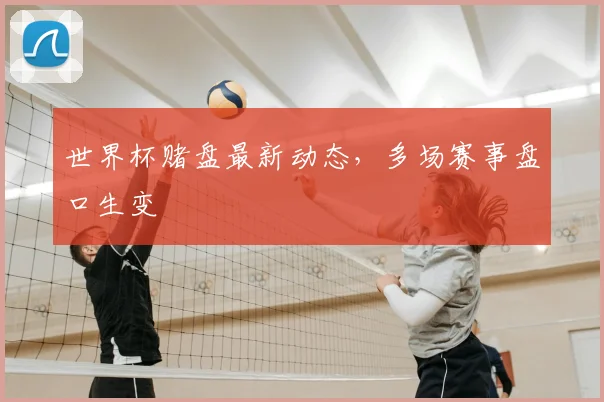 世界杯赌盘最新动态,多场赛事盘口生变