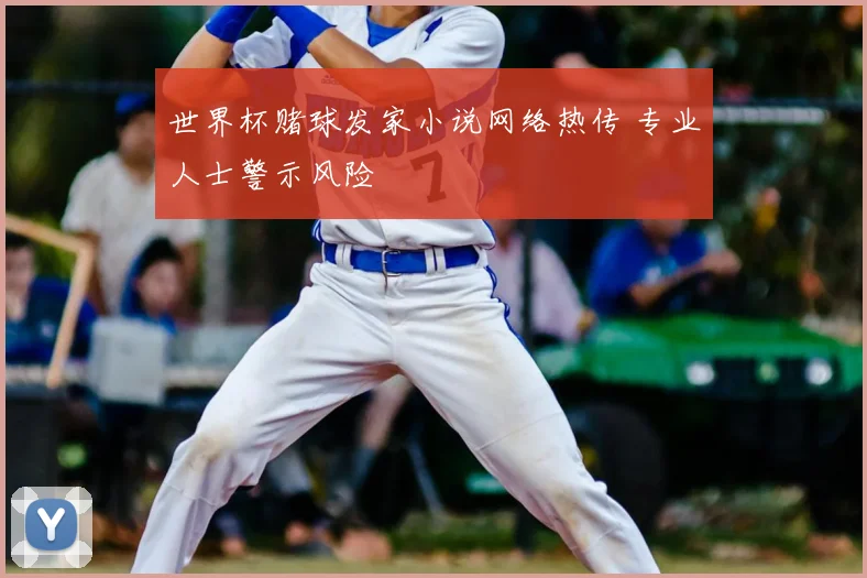 世界杯赌球发家小说网络热传 专业人士警示风险