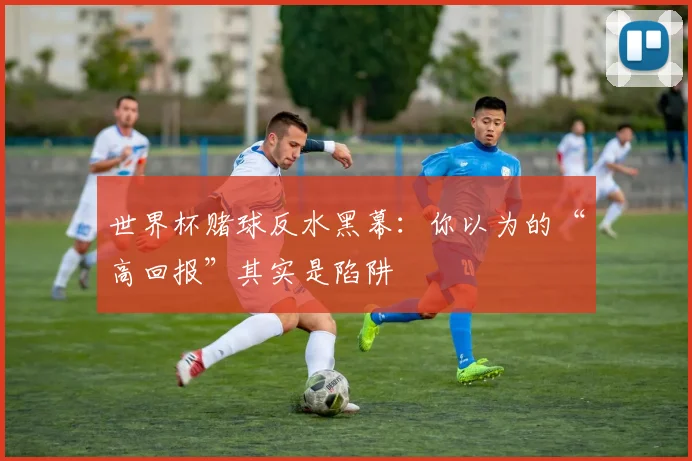 世界杯赌球反水黑幕：你以为的“高回报”其实是陷阱