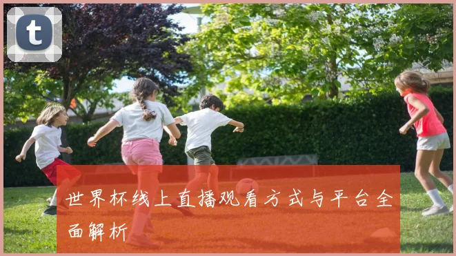 世界杯线上直播观看方式与平台全面解析