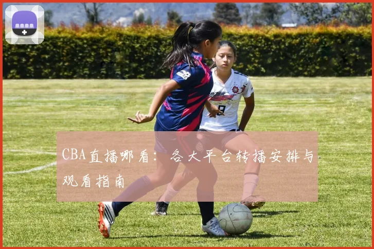 CBA直播哪看：各大平台转播安排与观看指南