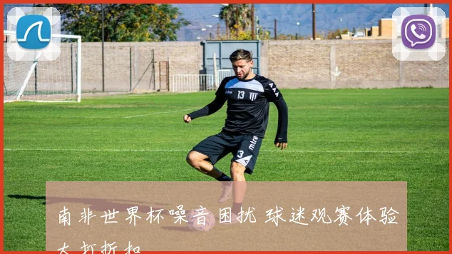 南非世界杯噪音困扰 球迷观赛体验大打折扣