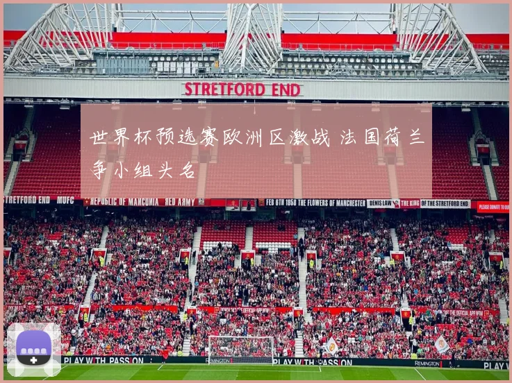 世界杯预选赛欧洲区激战 法国荷兰争小组头名