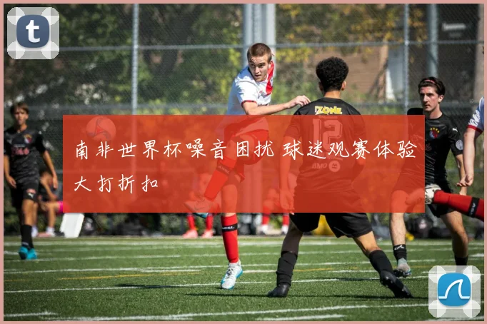 南非世界杯噪音困扰 球迷观赛体验大打折扣
