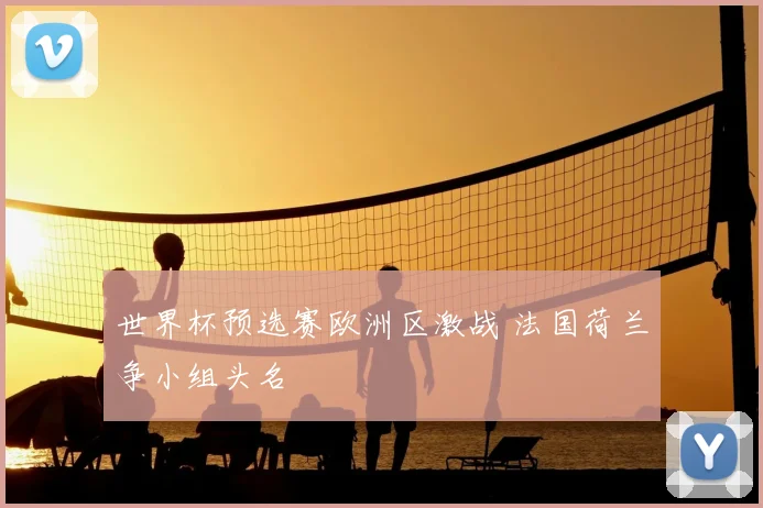 世界杯预选赛欧洲区激战 法国荷兰争小组头名