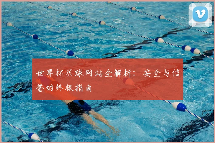 世界杯买球网站全解析：安全与信誉的终极指南