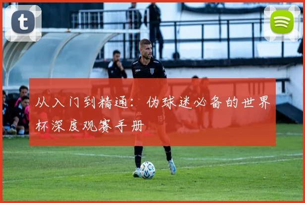 从入门到精通:伪球迷必备的世界杯深度观赛手册