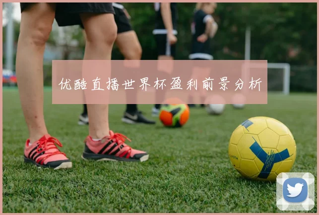 优酷直播世界杯盈利前景分析